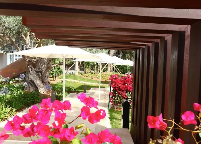 ピュア ソルト ガロンダ 大人専用 プラヤ・デ・パルマ