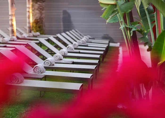 ピュア ソルト ガロンダ 大人専用